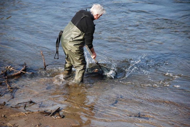 Teifi Trout Association